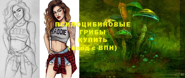 спайс Алексеевка
