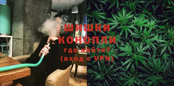 ГАЛЛЮЦИНОГЕННЫЕ ГРИБЫ Алзамай
