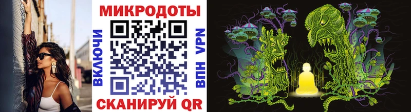 kraken   Анжеро-Судженск  Псилоцибиновые грибы мицелий 